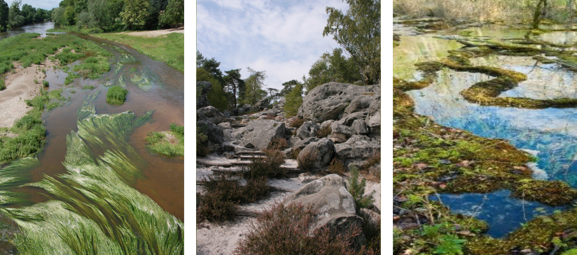 Végétations & habitats naturels - CBN du Bassin parisien