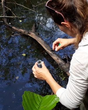 Prélèvement flore aquatique - CBN du Bassin parisien