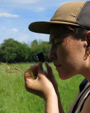 Détermination à la loupe - CBN du Bassin parisien
